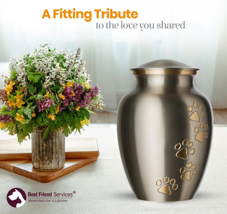 Pet Urn - Ottillie Paws Memorial Pet Cremation Urns for Dogs and Cats Ashes Hand Carved Brass Memory Keepsake Urn